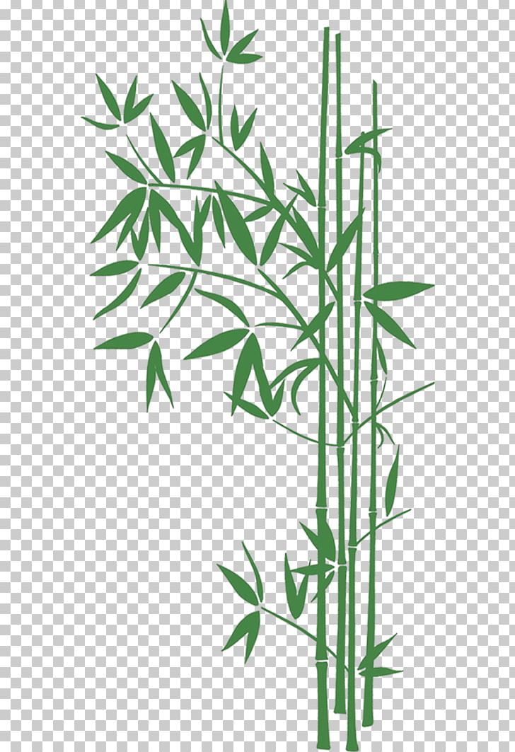 Bamboo Desktop High-definition Television PNG, Clipart, 4k Resolution, 720p, Angle, Bamboo, Branch Free PNG Download