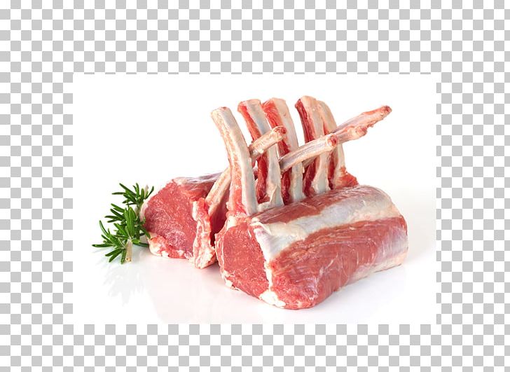 Meat Lamb And Mutton Rack Of Lamb Sheep Barbecue PNG, Clipart, Animal Fat, Animal Source Foods, Back Bacon, Barbecue, Beef Free PNG Download
