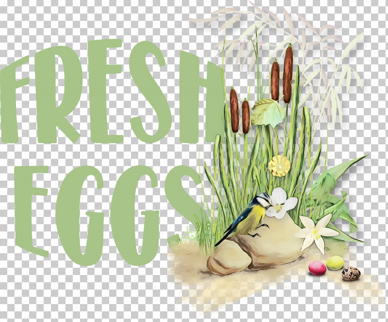 Floral Design PNG, Clipart, Floral Design, Fresh Eggs, Meter, Paint, Watercolor Free PNG Download