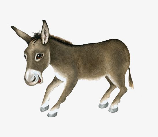 Cartoon Little Donkey PNG, Clipart, Animals, Cartoon, Cartoon Animals, Cartoon Clipart, Donkey Free PNG Download