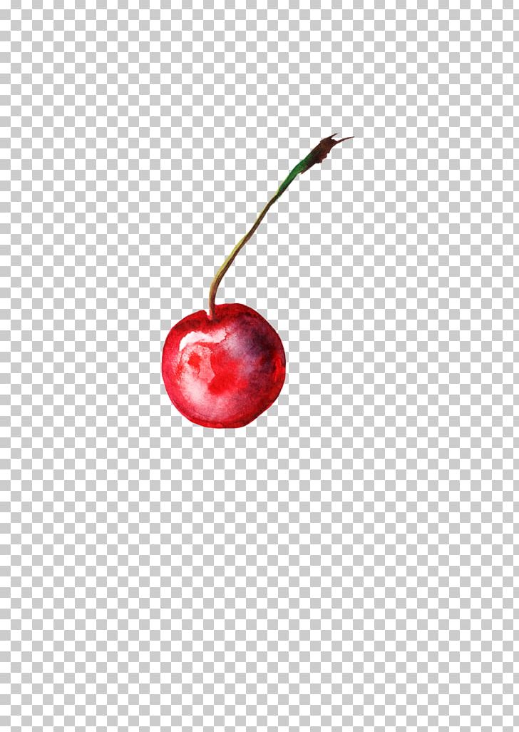 Cherry Balloon Fly 1000 COLOR Garnish PNG, Clipart, 1000 Color, Android, Balloon Fly, Botany, Cherries Free PNG Download