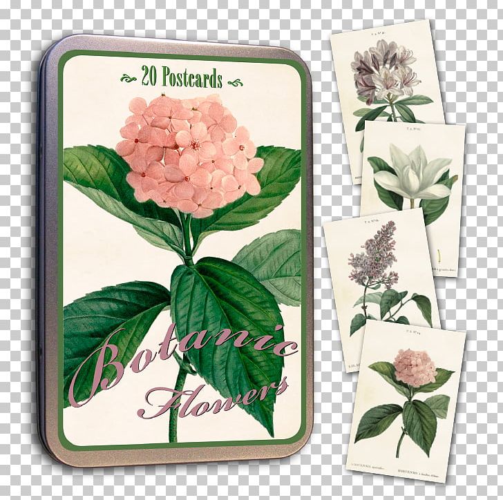 Cut Flowers Hydrangea Piano Interiør Light White PNG, Clipart, Centimeter, Color, Cut Flowers, Floral Design, Flower Free PNG Download