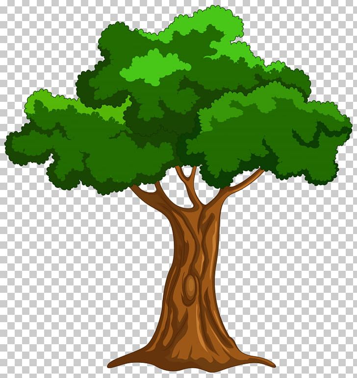 Tree PNG, Clipart, Branch, Cartoon, Cartoon Tree, Desktop Wallpaper, Download Free PNG Download