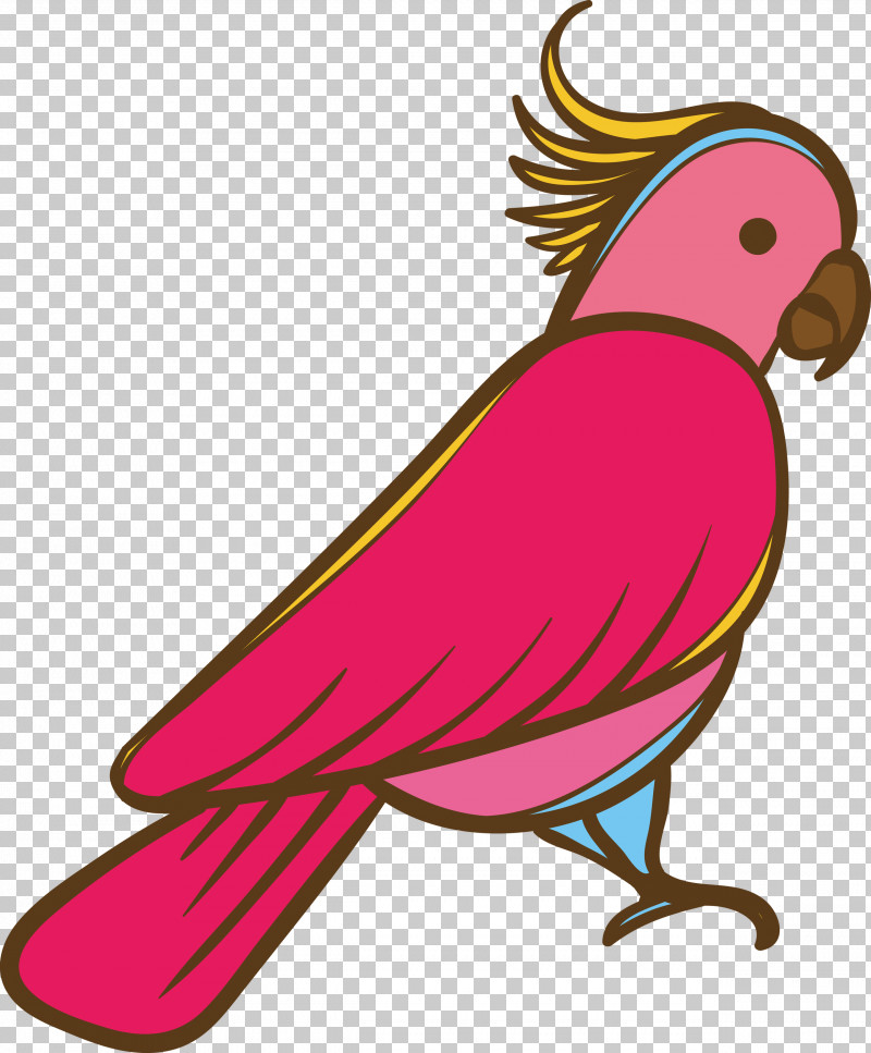 Feather PNG, Clipart, Beak, Cartoon Bird, Cute Bird, Feather, Macaw Free PNG Download