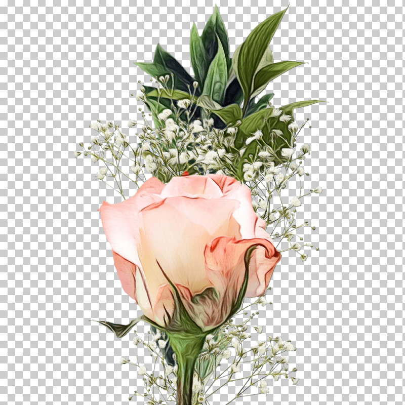 Flower Bouquet PNG, Clipart, Cut Flowers, Floral Design, Flower, Flower Bouquet, Garden Roses Free PNG Download