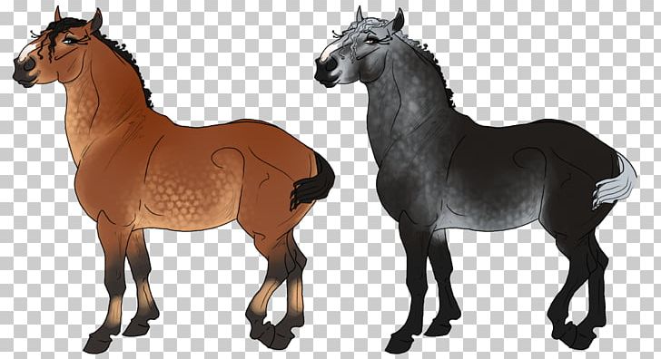 Mustang Foal Stallion Mare Colt PNG, Clipart, Animal, Animal Figure, Colt, Foal, Halter Free PNG Download