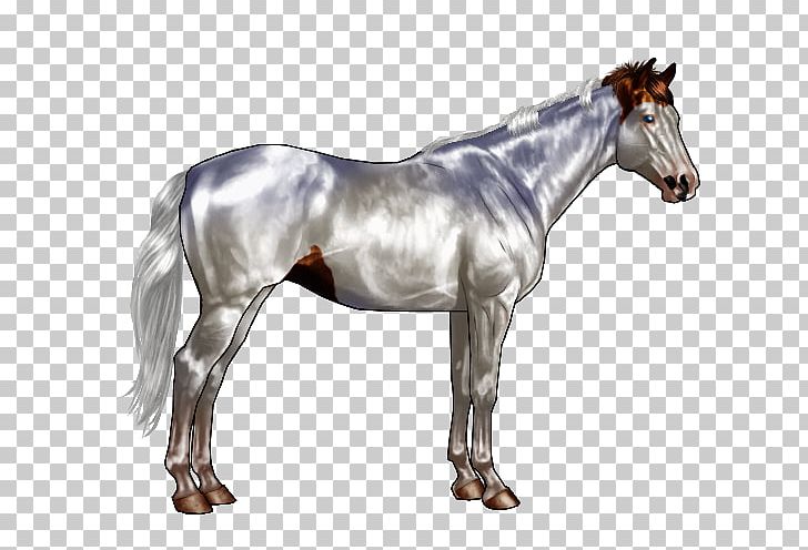 Sabino Horse Pony Chestnut Equine Coat Color PNG, Clipart, Animals, Black, Black Horse, Brindle, Buckskin Free PNG Download