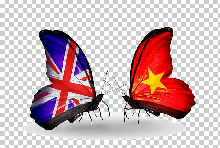 United Kingdom Brexit The Australian Tribune PNG, Clipart, Australia, Brexit, Butterfly, Flag, Insect Free PNG Download