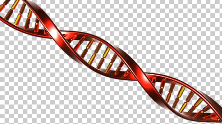 DNA Energy Fys Homologous Recombination Stock Footage PNG, Clipart, Automotive Lighting, Bicycle Part, Dna, Eyewear, Footage Free PNG Download