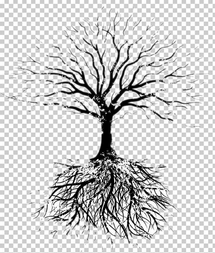 Tree Oak Root Branch PNG, Clipart, Black And White, Branch, Drawing, Family, Family Tree Free PNG Download