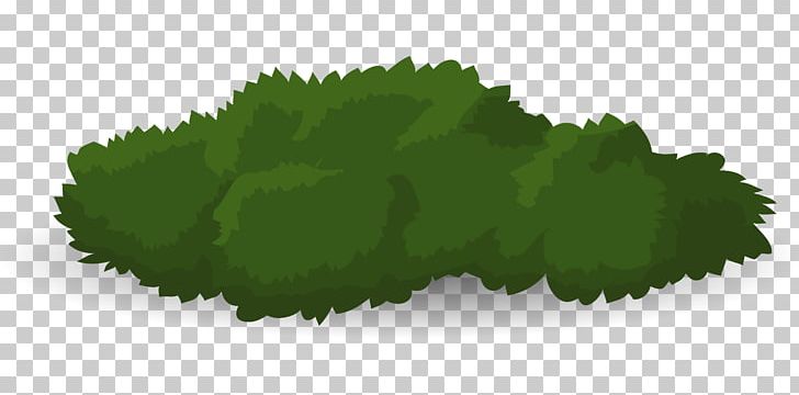 Tree Shrub Drawing PNG, Clipart, Animation, Bushes, Deciduous, Drawing, Forest Gardening Free PNG Download