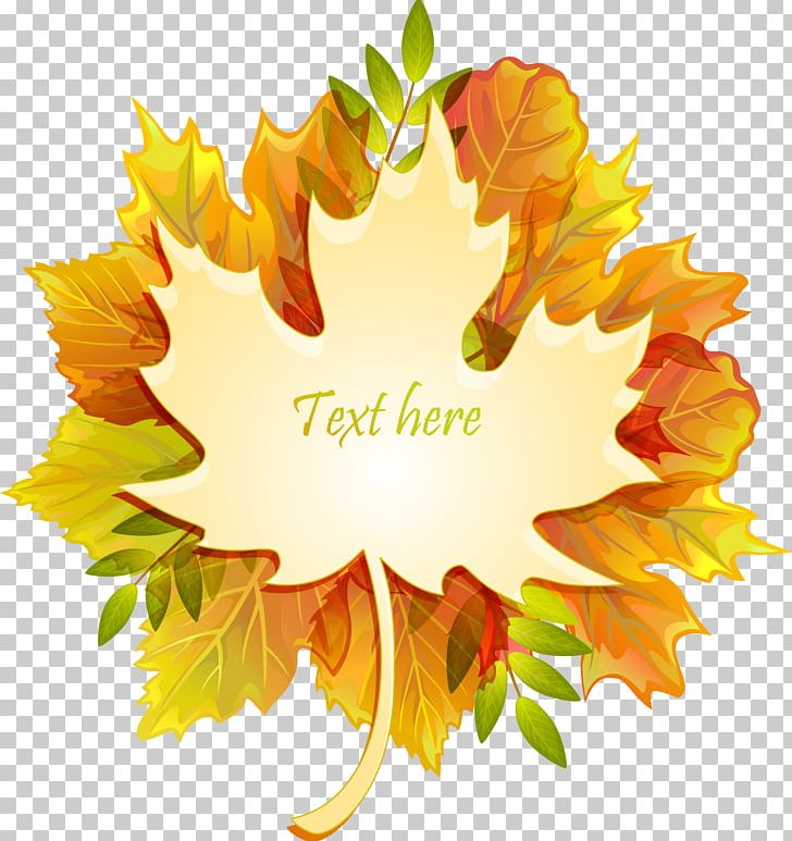 Autumn Leaf Color Maple Leaf PNG, Clipart, Autumn Leaves Background, Background Vector, Deciduous, Encapsulated Postscript, Fall Leaves Free PNG Download