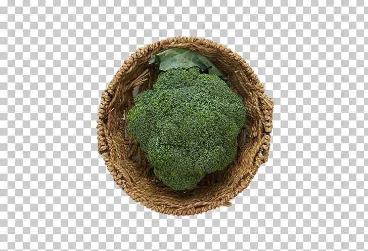 Superfood Broccoli Vegetable PNG, Clipart, Broccoli, Fresh, Fresh Broccoli, Fresh Fruit, Fresh Juice Free PNG Download
