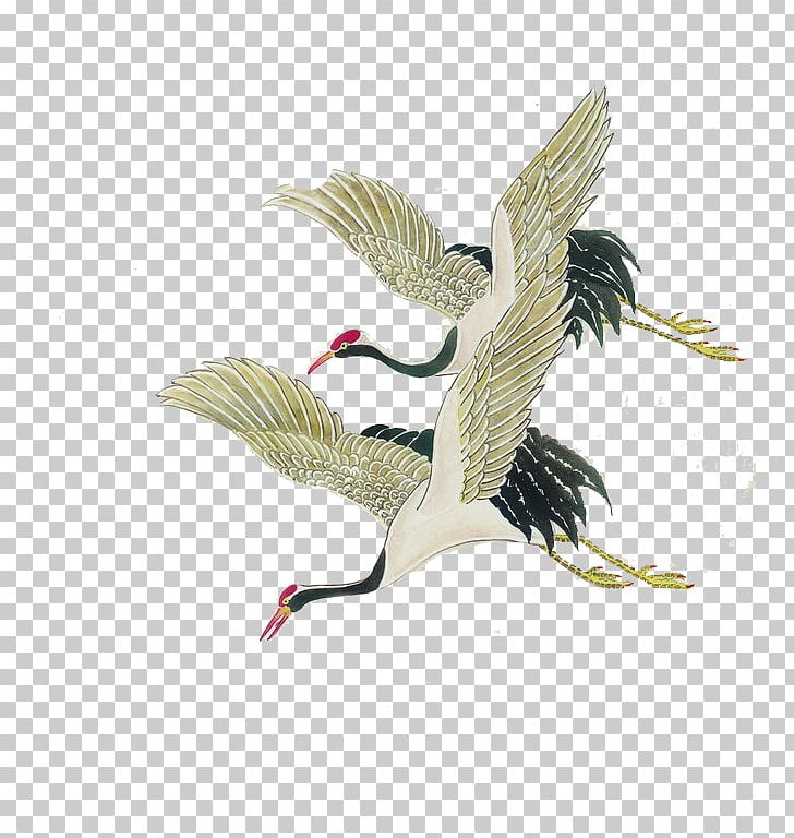 Bird Red-crowned Crane Painting Illustration PNG, Clipart, Animal, Beak, Chinese, Ciconiiformes, Cra Free PNG Download