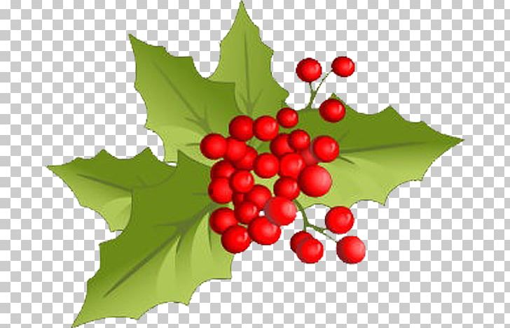 Christmas Decoration Christmas Ornament Christmas Bells PNG, Clipart, Aquifoliales, Berry, Christmas, Christmas Bells, Christmas Decoration Free PNG Download