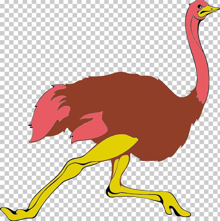Common Ostrich Pixabay PNG, Clipart, Animal, Animals, Athlete Running, Athletics Running, Beak Free PNG Download