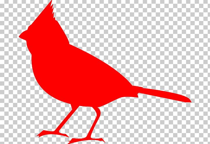 St. Louis Cardinals Northern Cardinal PNG, Clipart, All About Birds, Art, Artwork, Beak, Bird Free PNG Download