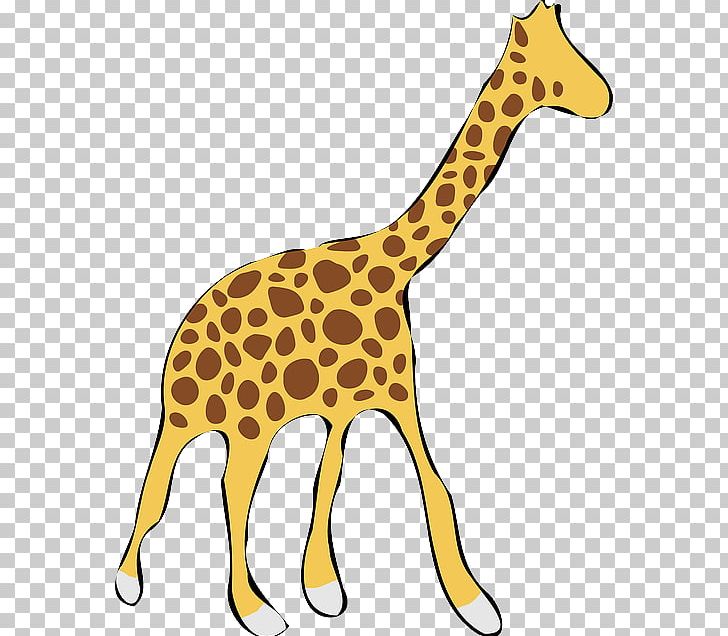 Giraffe Drawing PNG, Clipart, Animal Figure, Animals, Art, Cartoon, Drawing Free PNG Download