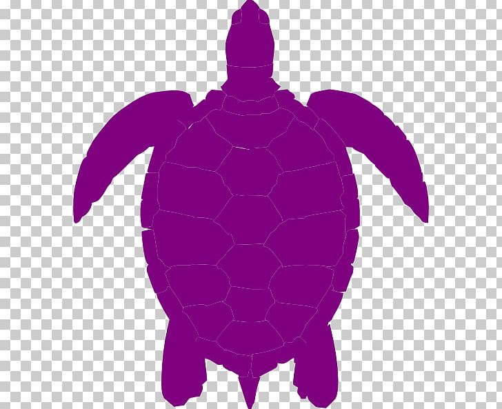 Green Sea Turtle Silhouette PNG, Clipart, Animals, Art, Clip, Fictional Character, Flatback Sea Turtle Free PNG Download