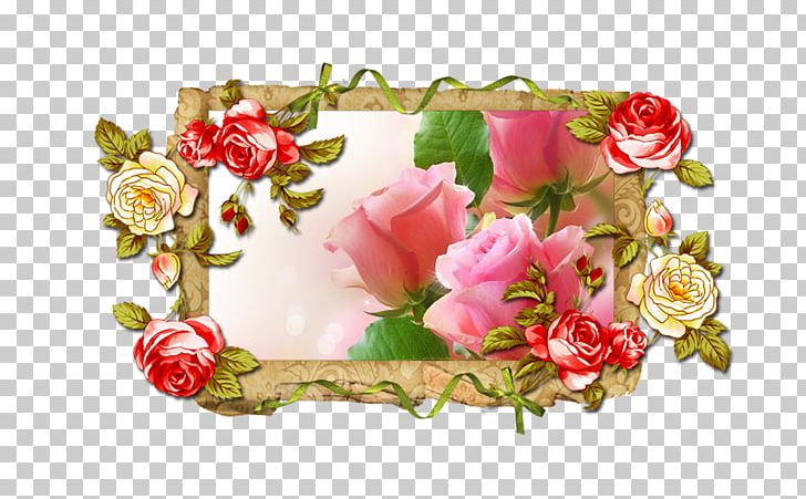 Frames Photography PNG, Clipart, Artificial Flower, Blossom, Cut Flowers, Floral Design, Floristry Free PNG Download