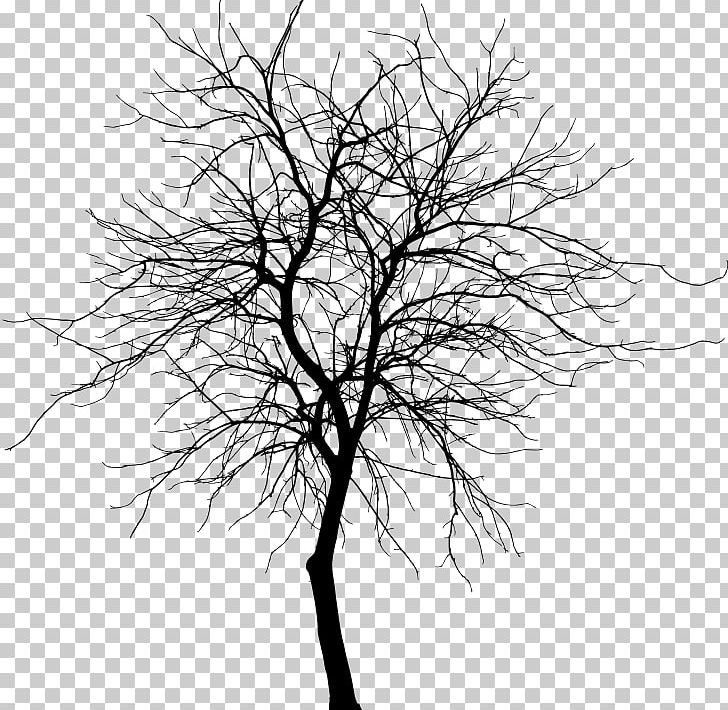 Twig Black And White Drawing Photography PNG, Clipart, Art, Black And ...