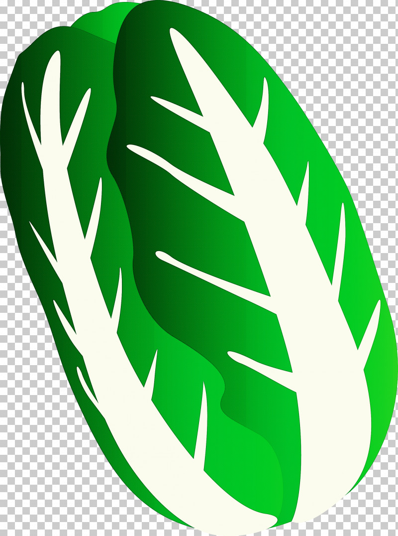 Nappa Cabbage PNG, Clipart, Green, Leaf, Logo, Nappa Cabbage, Plant Free PNG Download