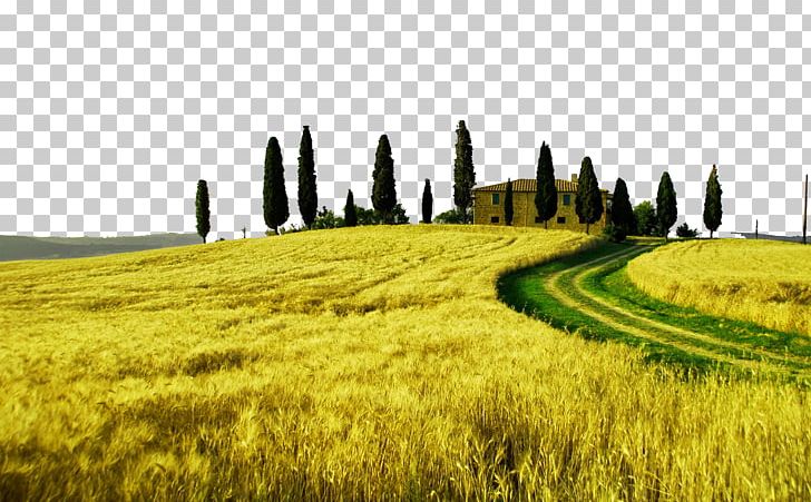 Tuscany Landscape Photography High-definition Television PNG, Clipart, 4k Resolution, Agriculture, Aspect Ratio, Buildings, Commodity Free PNG Download