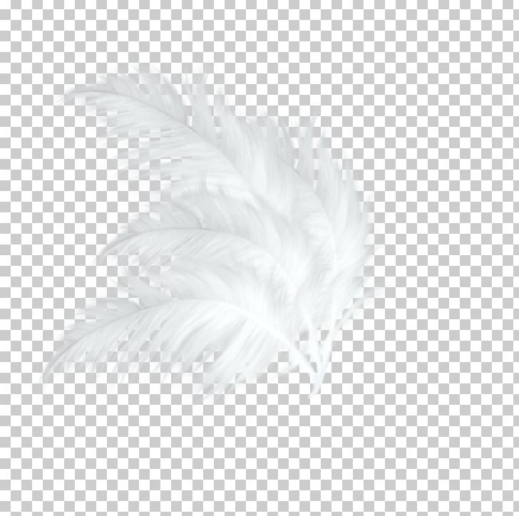 White Feather Black Pattern PNG, Clipart, Animals, Background Green, Black, Black And White, Christmas Decoration Free PNG Download