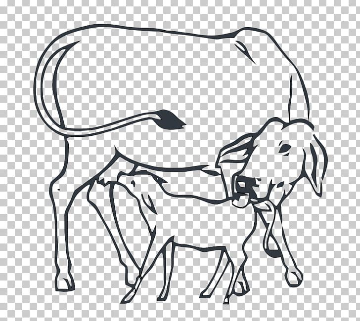 How to draw Indian cow and calf love drawing easy step for beginners -  YouTube