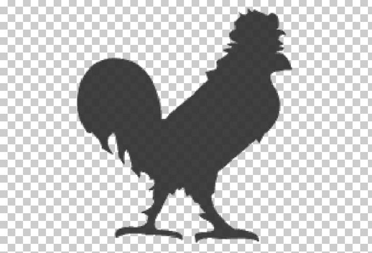 Cock Hotel Rooster Bird Wyandotte Chicken Phasianidae PNG, Clipart, Animal, Animals, Beak, Bird, Black And White Free PNG Download
