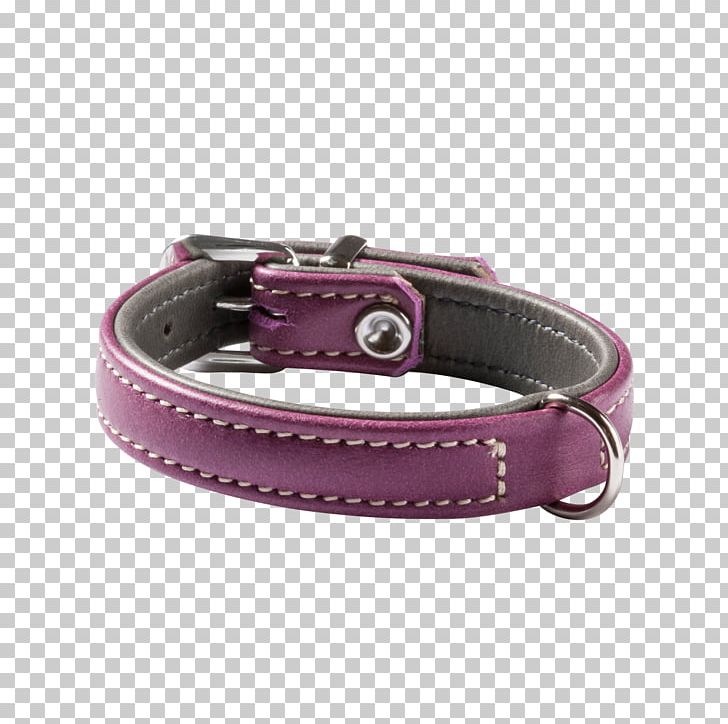 Dog Collar Strap PNG, Clipart, Animals, Belt, Belt Buckle, Belt Buckles, Bordeaux Free PNG Download