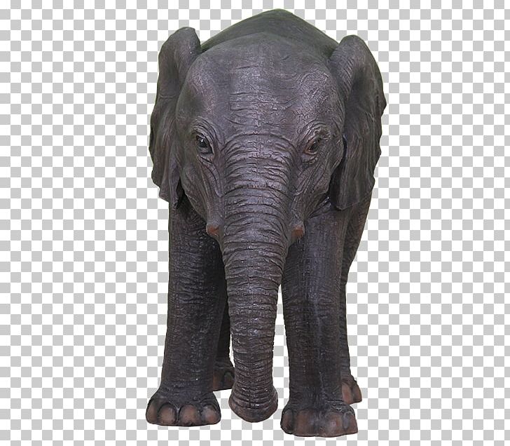 Indian Elephant African Elephant Terrestrial Animal Wildlife PNG, Clipart, African Elephant, Animal, Animals, Asian Elephant, Elephant Free PNG Download