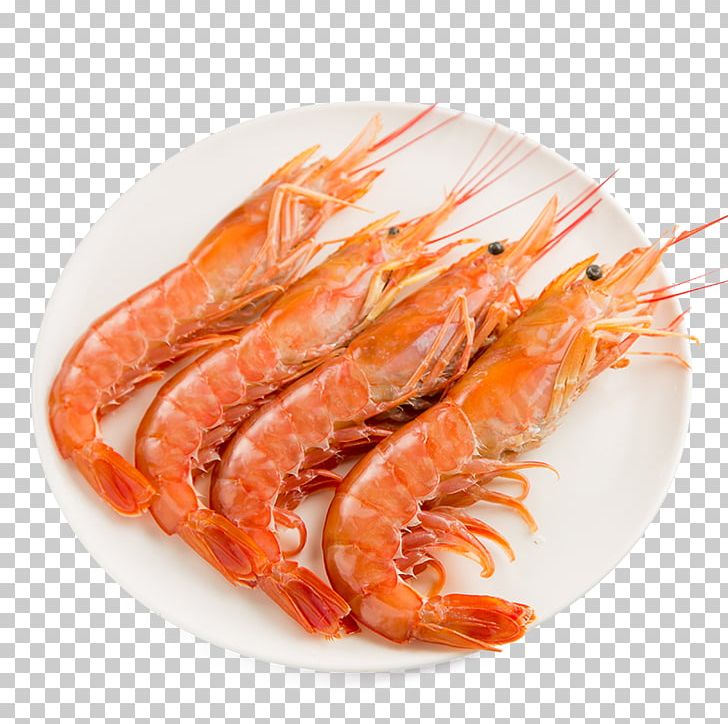 Tmall Seafood Shrimp Pleoticus Muelleri Squid PNG, Clipart, Animals, Animal Source Foods, Caridean Shrimp, Crustacean, Decapoda Free PNG Download