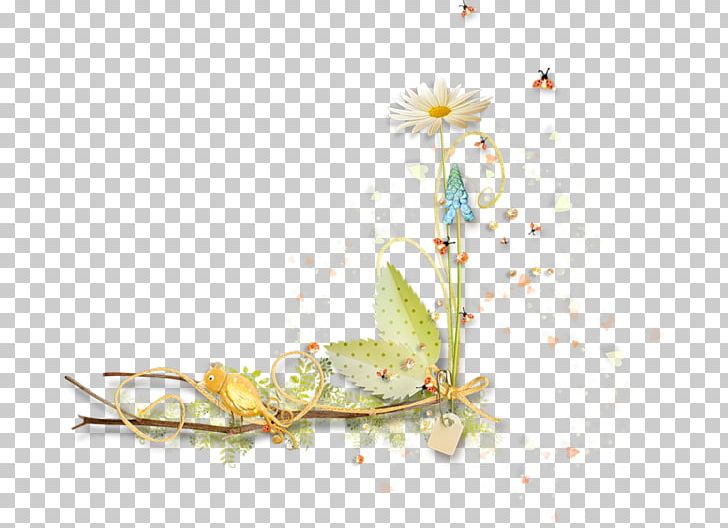 GIF 1 PNG, Clipart, Branch, Camomile, Computer, Computer Wallpaper, Desktop Wallpaper Free PNG Download