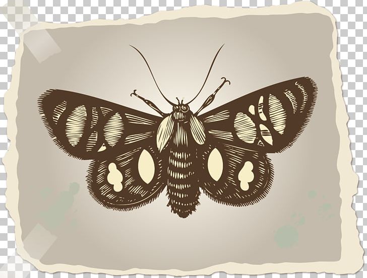Paper Textile PNG, Clipart, Antiqu, Antique Do The Old Paper Notes, Brush Footed Butterfly, Encapsulated Postscript, Material Free PNG Download