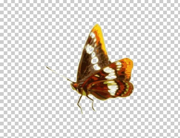 Brush-footed Butterflies Butterfly Butterflies And Moths Insect PNG, Clipart, Antumn Leaves Gradient Color, Arthropod, Brush Footed Butterfly, Butterflies And Moths, Butterfly Free PNG Download