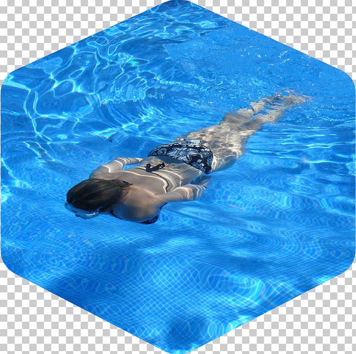 Swimming Pool Hotel Toronto Pan Am Sports Centre Hot Tub PNG, Clipart, Aqua, Hotel, Hot Tub, Marine Mammal, Plastic Free PNG Download