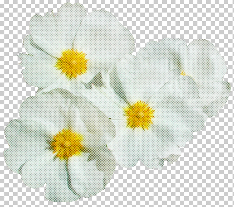 Flower Bouquet PNG, Clipart, Animation, August, Bead, Blog, Flower Free PNG Download