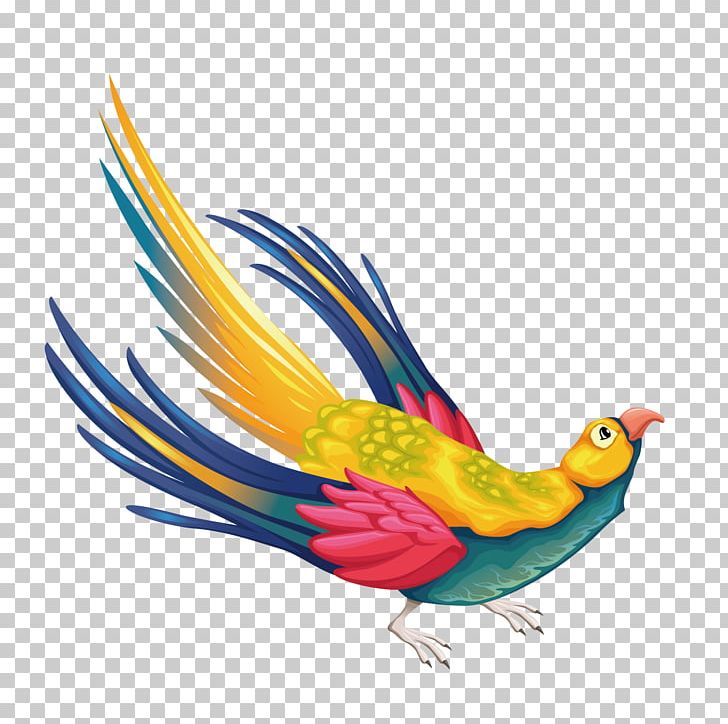 Phoenix Euclidean PNG, Clipart, Beak, Bird, Color, Common Pet Parakeet, Dragon And Phoenix Free PNG Download