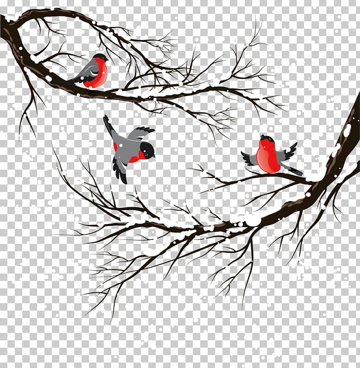 Bird Winter Illustration PNG, Clipart, Beak, Birds, Black And White, Branch, Creative Winter Free PNG Download