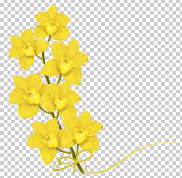 Flower Stock Photography PNG, Clipart, Clip Art, Cut Flowers, Desktop Wallpaper, Encapsulated Postscript, Floral Design Free PNG Download