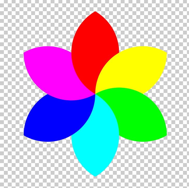 Petal Flower PNG, Clipart, Buttercup, Cartoon, Circle, Color, Flower Free PNG Download