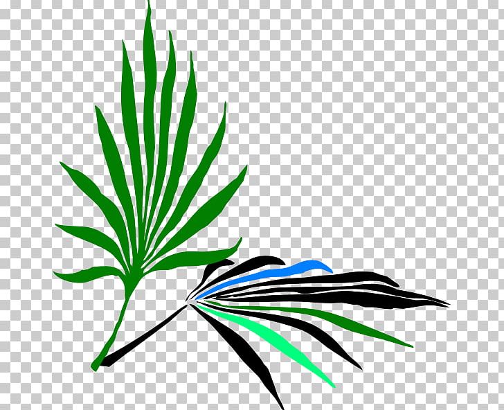 Holy Comforter Episcopal Church Palm Branch PNG, Clipart, Arecaceae, Artwork, Flora, Grass, Leaf Free PNG Download