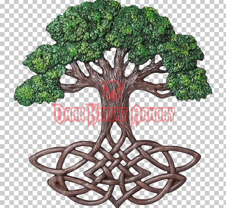 tree of life celtic knot background