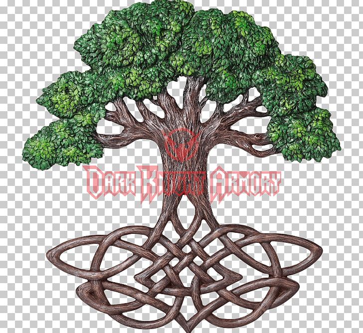 celtic knot tree of life background