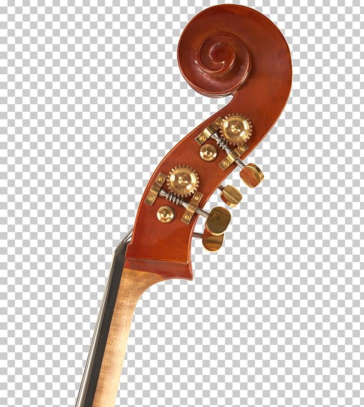 Violone Double Bass Cello Violin Musical Instruments PNG, Clipart, Bass Guitar, Bowed String Instrument, Cello, Double Bass, Indian Musical Instruments Free PNG Download