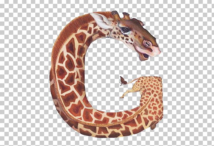 Letter Alphabet G Animal PNG, Clipart, Alphabet, Animal, Designer, Fauna, Giraffe Free PNG Download