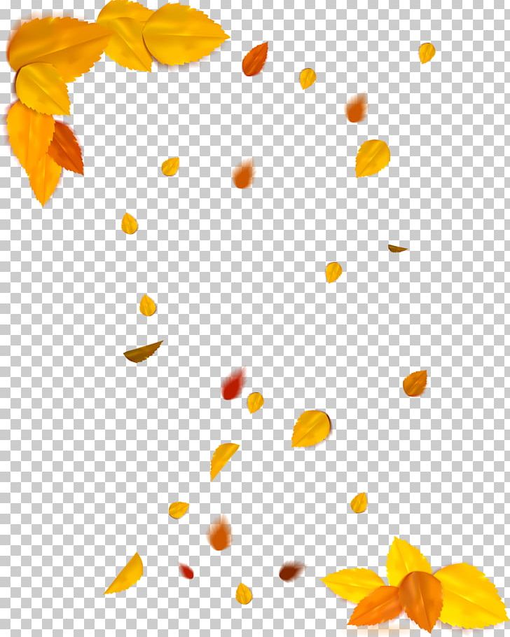 Autumn Deciduous Vecteur PNG, Clipart, Area, Autumn, Autumn Leaves, Autumn Tree, Autumn Vector Free PNG Download