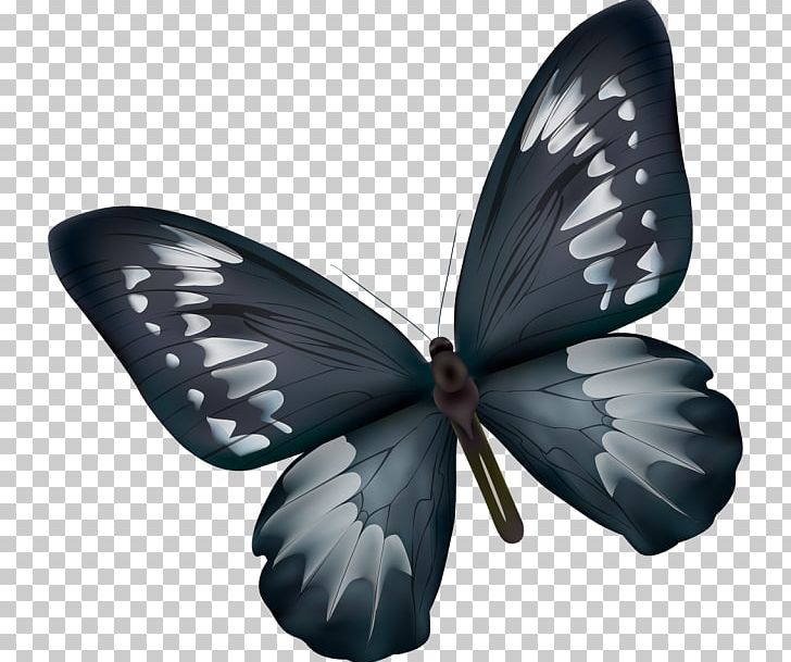 Brush-footed Butterflies Butterfly Insect PNG, Clipart, 300dpi, Arthropod, Brush Footed Butterfly, Butterfly, Gratis Free PNG Download