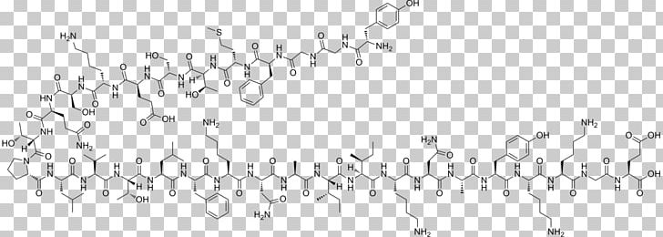 Endorphins Beta-Endorphin Enkephalin Opioid Peptide Proopiomelanocortin PNG, Clipart, Angle, Area, Beta, Betaendorphin, Black Free PNG Download